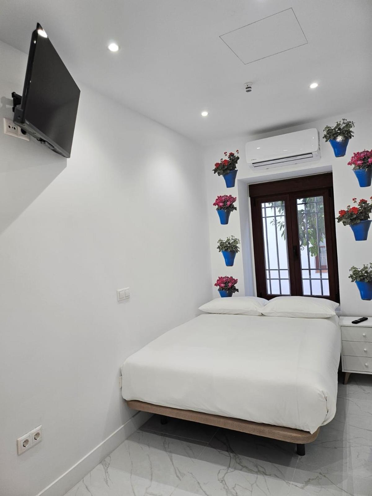 Nueva Pension Cibeles Cordoba Dış mekan fotoğraf